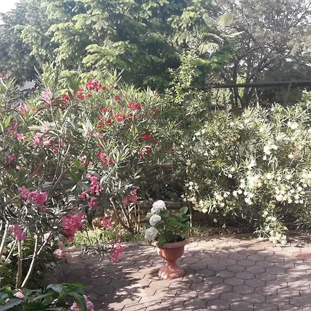 App Karmen With Privat Parking Διαμέρισμα Πόρετς